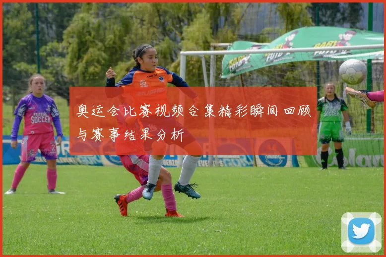 奥运会比赛视频合集精彩瞬间回顾与赛事结果分析