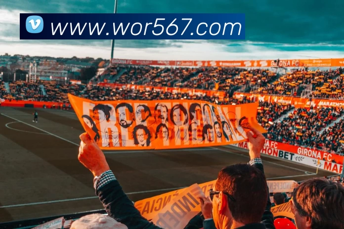 多媒体互动体验